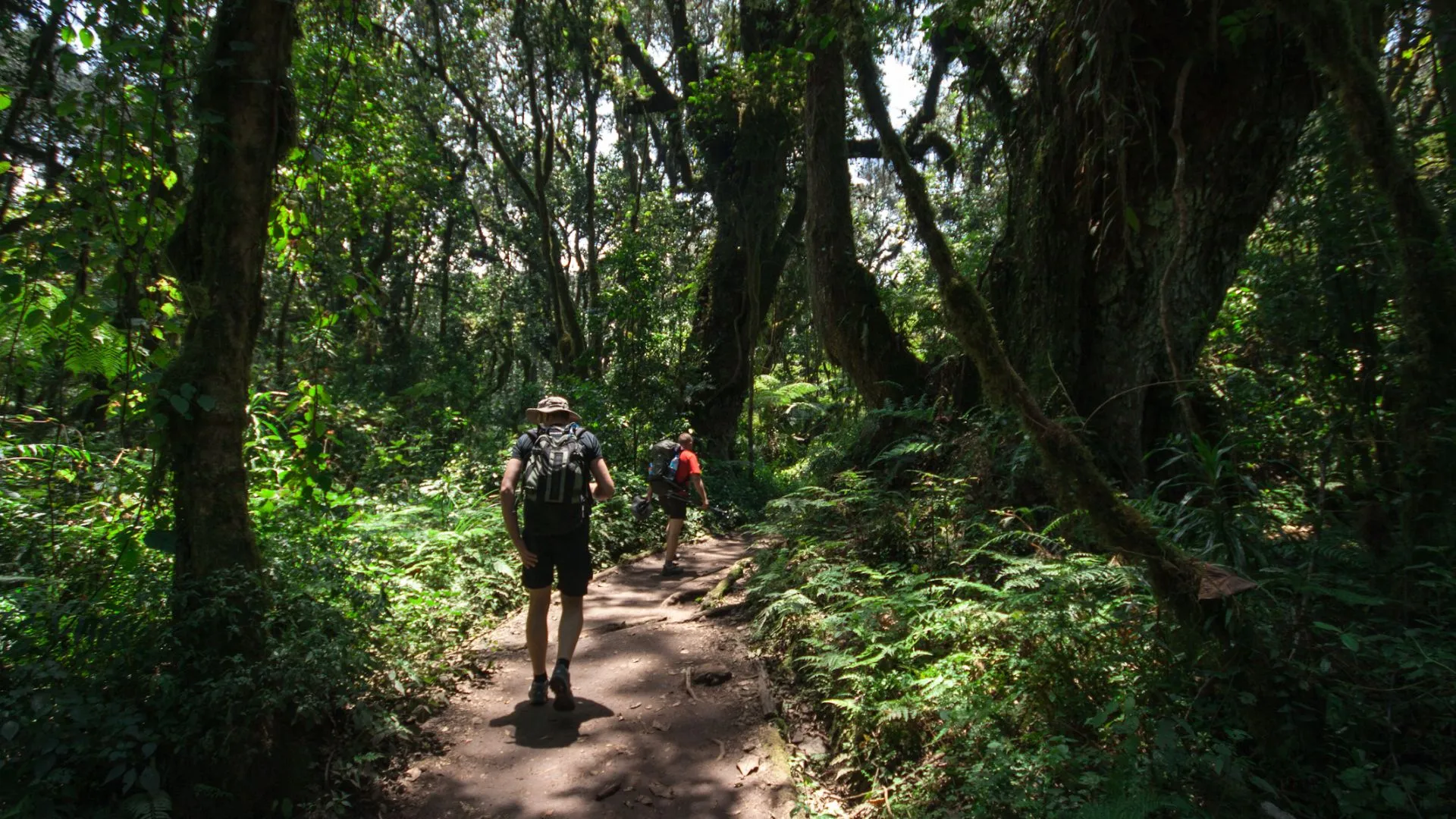 Kilimanjaro Packing List: Complete Gear Guide for Every Route
