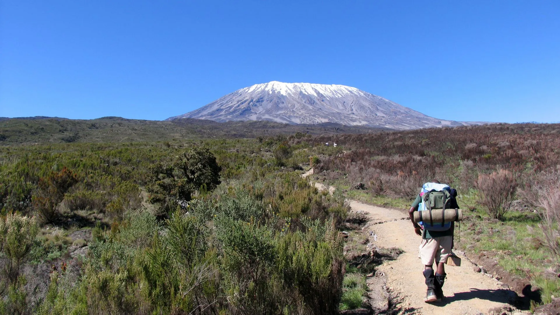 Machame vs Lemosho Route: Which Kilimanjaro Route Is Best for You?