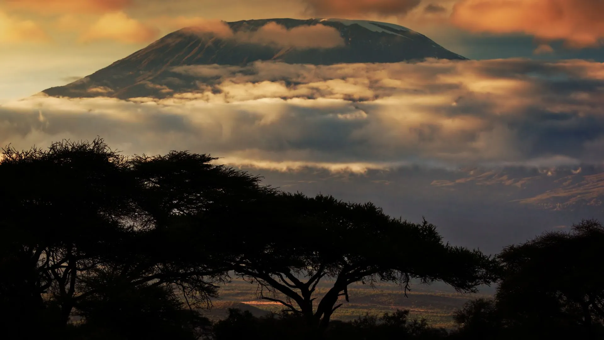 How to Train for Kilimanjaro: 12-Week Fitness Plan