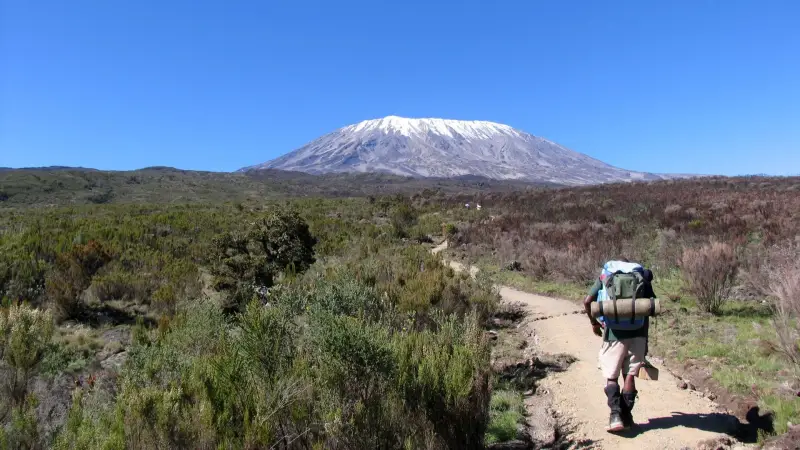 Machame vs Lemosho Route: Which Kilimanjaro Route Is Best for You?