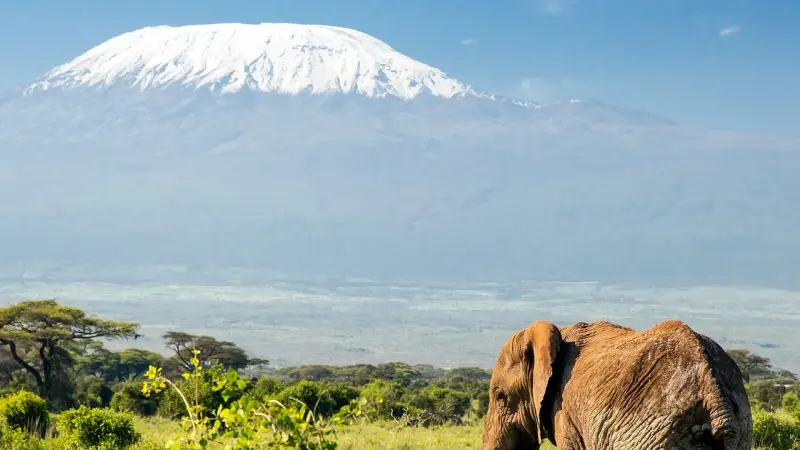 Kilimanjaro Machame Route — 7 Days