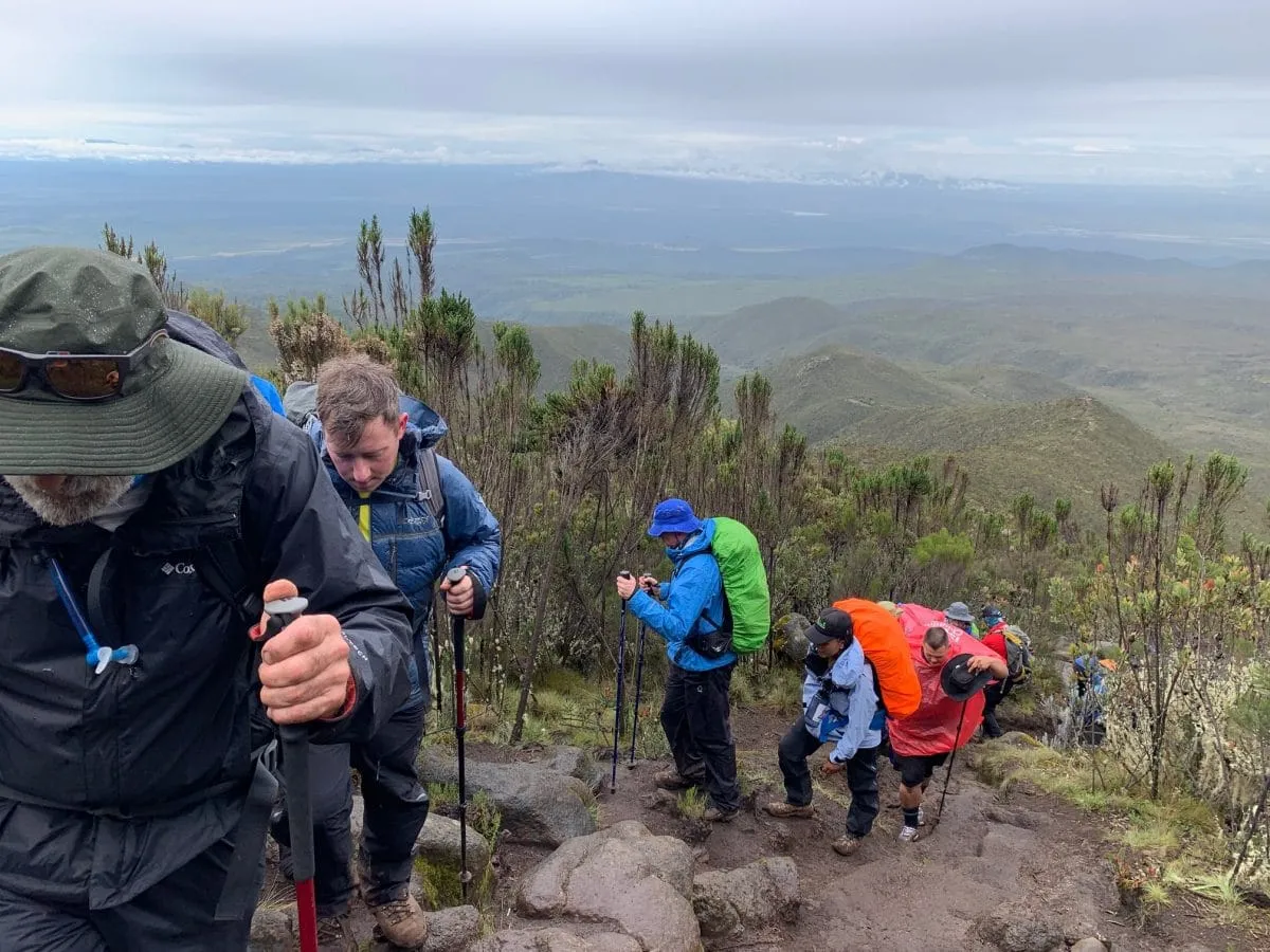 Trekkers hiking uphill on a forested trail on Mount Kilimanjaro.
