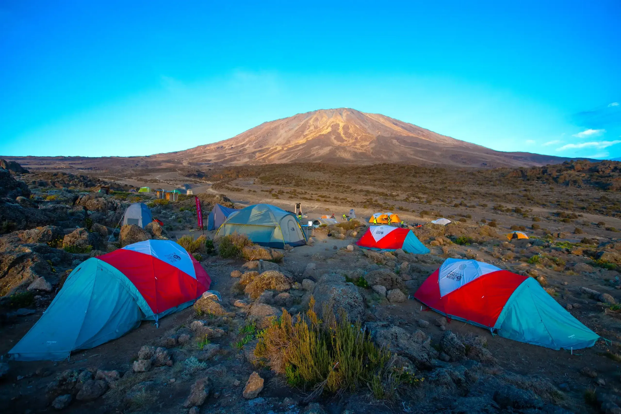 Tents at a high-altitude campsite on Kilimanjaro’s Rongai Route with the mountain in the background.