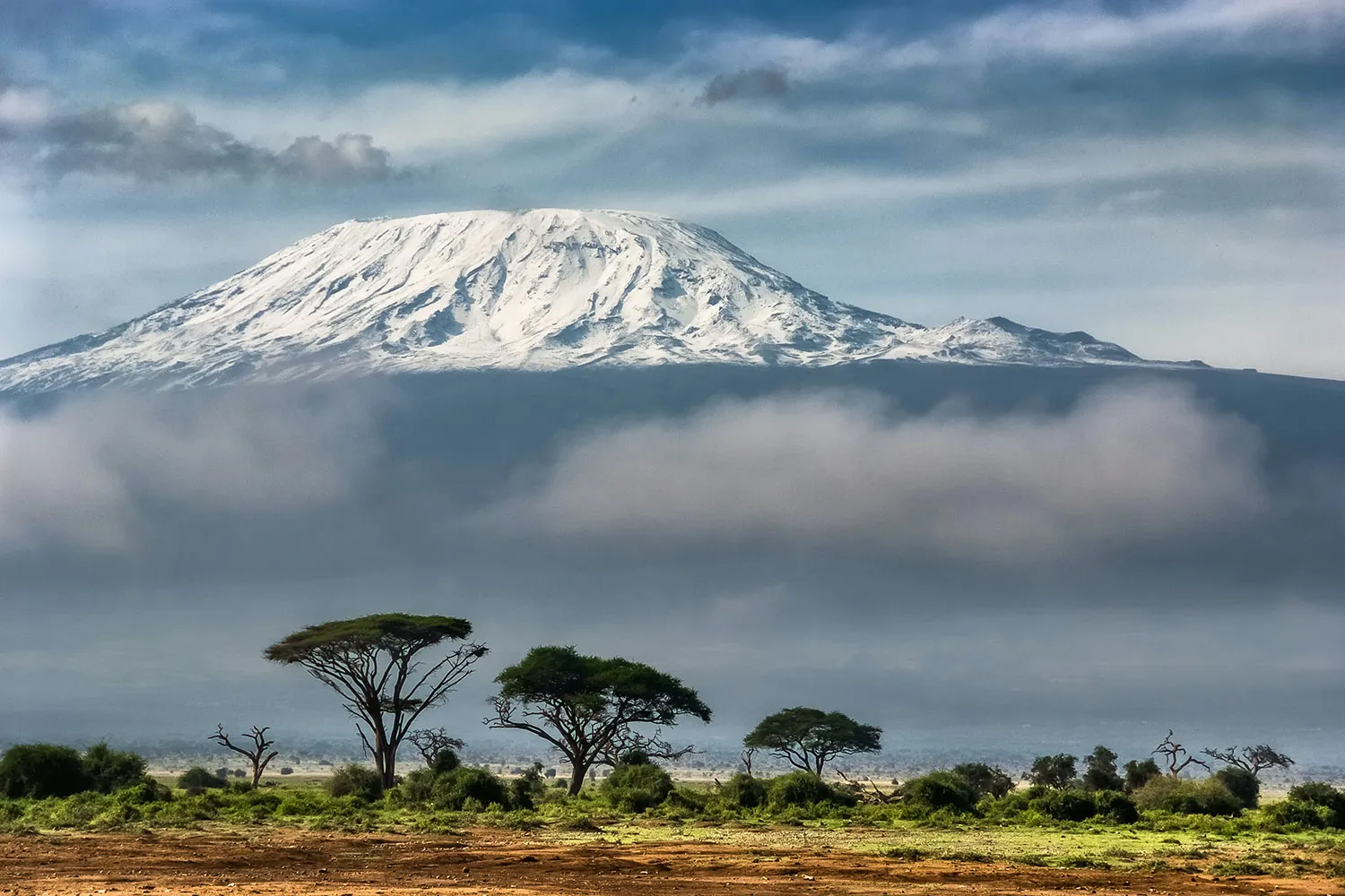 All-Inclusive Kilimanjaro Climb Packages