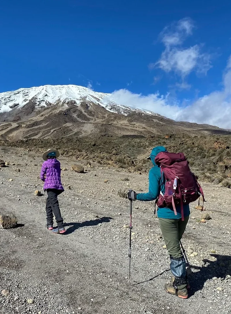 Hikers with trekking poles walking toward Mount Kilimanjaro’s snow-capped peak under a blue sky.