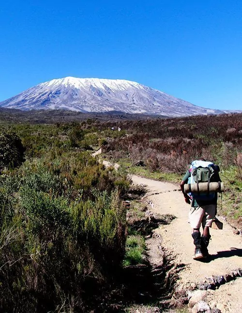 Climber trekking the Marangu Route on Mount Kilimanjaro